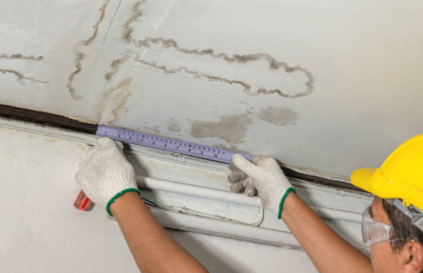 Reliable Basement Water Removal contractor in Quincy, WA by Water Damage Irwin